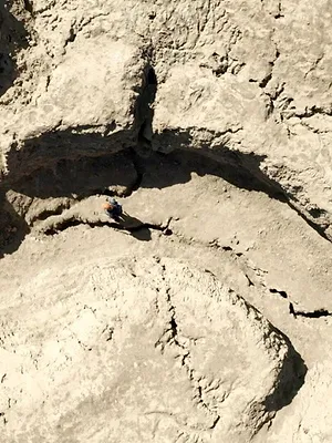 Au bord de la catastrophe