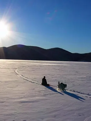 Alaska : nouvelle vie