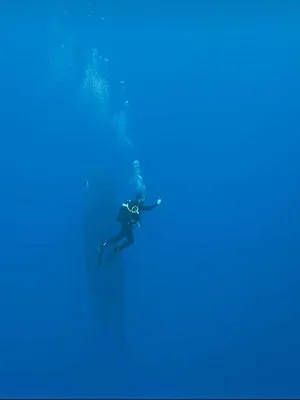 Thalassa, aventures extrêmes