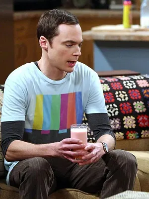 Big Bang Theory S11 E24