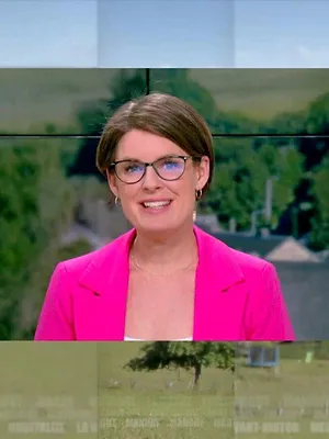 L'hebdo en langue des signes