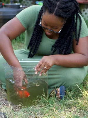 Critter Fixers : Vétos de choc