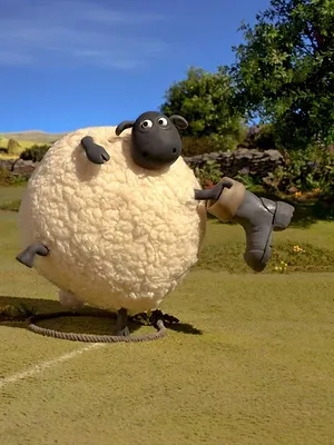 Shaun le champion S1 E17