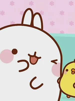 Molang S3 E34