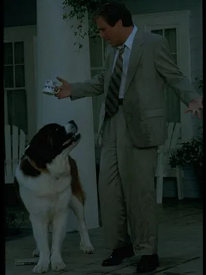 Beethoven 2