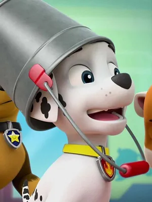 Paw Patrol, la Pat'Patrouille S4 E11