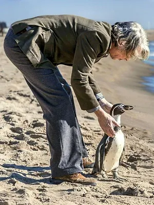 The Penguin Lessons