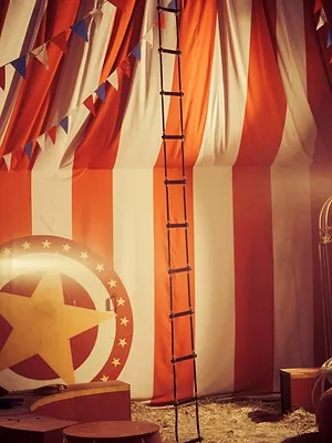 Nouvel an Cirque hivernal de Wallonie