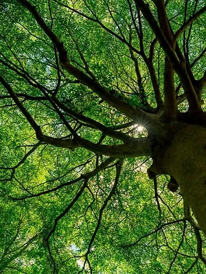 Curieux de Nature
