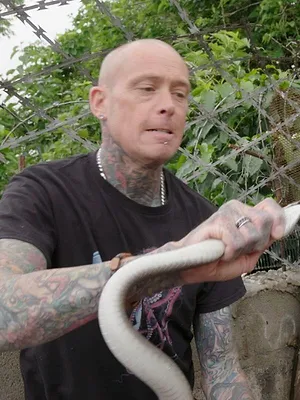 Snakes in the City