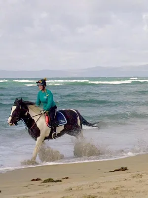Aux quatre coins de l'Irlande
