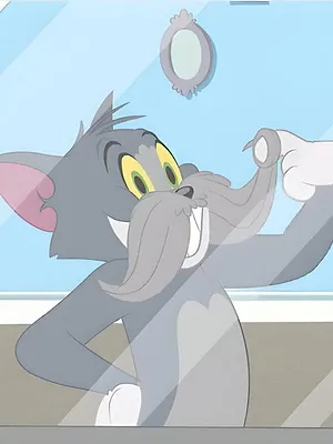 Tom et Jerry Show S4 E24