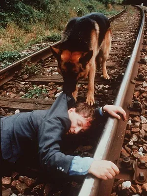 Rex, chien flic S4 E7