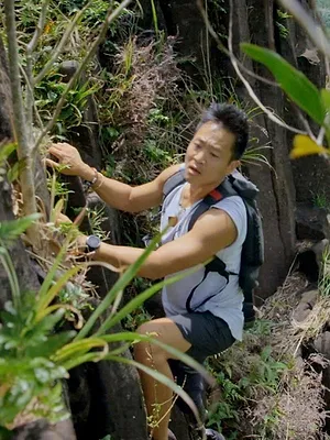 Les cités perdues d'Albert Lin