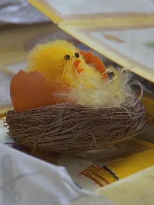 Au coeur des douanes : Espagne