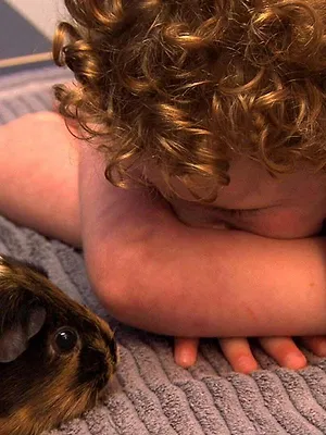 Le vétérinaire de Bondi Beach