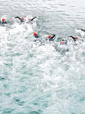 Triathlon : World Triathlon Series
