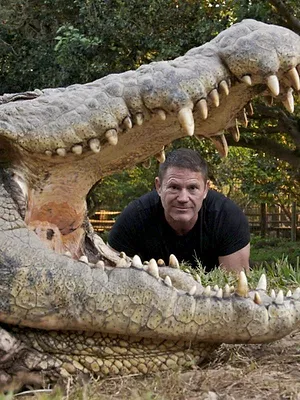 A la rencontre des crocodiles avec Steve Backshall
