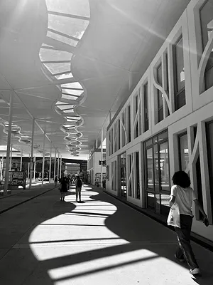 Etudiantes en terrain miné