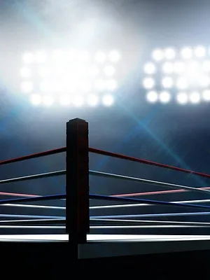 All Elite Wrestling : All In