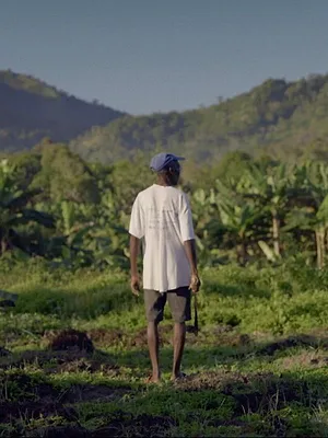 Haïti, la rançon de l'indépendance