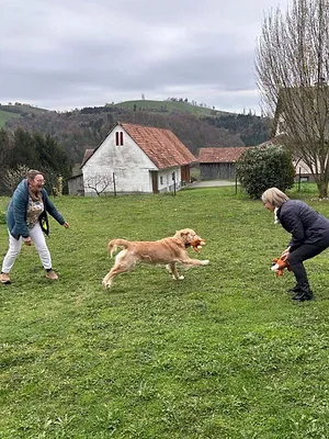 X,Y,Z - Die Generationenlüge
