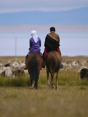 Voyage à travers les couleurs: La Chine
