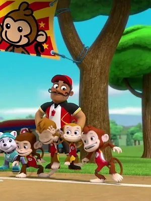 Paw Patrol, la Pat'Patrouille S3 E17