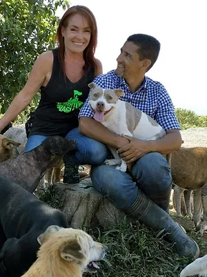 Au Costa Rica, un paradis pour les chiens abandonnés