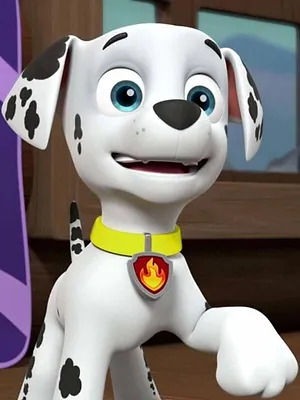 Paw Patrol, la Pat'Patrouille S4 E6