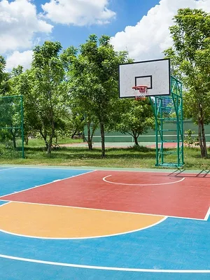 Basket-ball