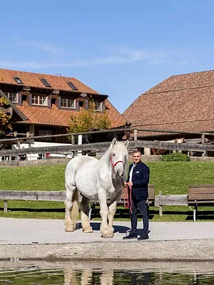 Erlebnis Österreich