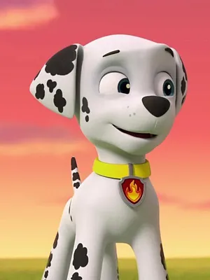 Paw Patrol, la Pat'Patrouille S4 E17
