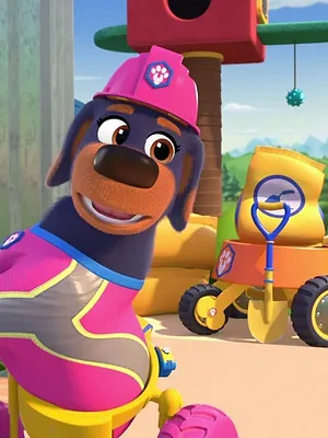 Pupstruction, les chiots en action S2 E3