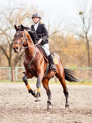 Les meilleurs moments