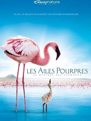 Les Ailes pourpres : Le Mystère des flamants
