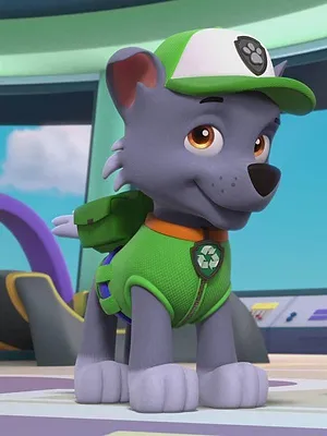 Paw Patrol, la Pat'Patrouille S10 E21