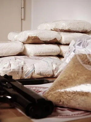 Borderforce USA : the Bridges