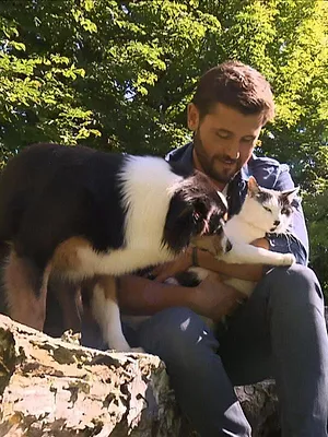 La vie secrète des chats