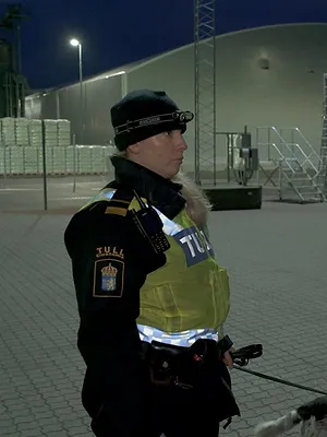 Au cœur des douanes : Suède