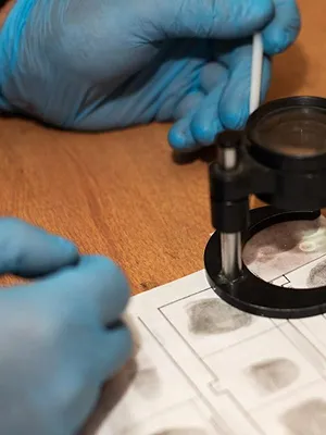 Faites entrer l'accusé