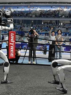 Le dessous des images