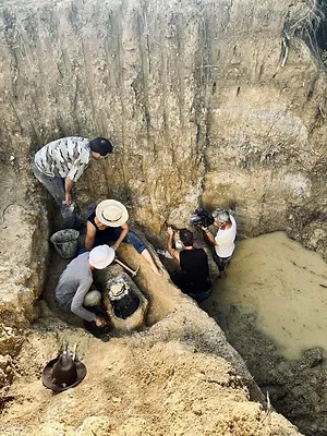 Dans les pas du mammouth géant
