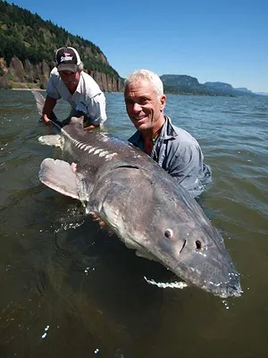 River Monsters