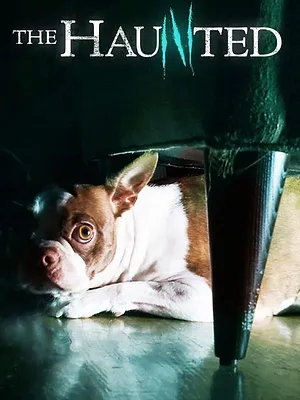 Témoins de l'étrange