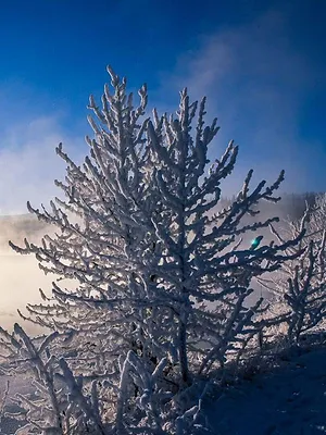 Earth's Great Rivers