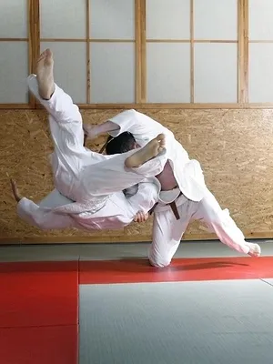 Judo : Grand Slam de Tachkent