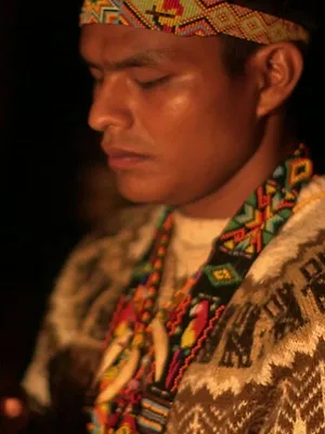 Médecines d'ailleurs