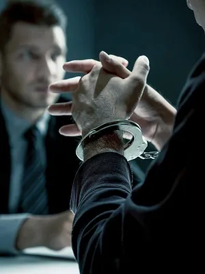 Borderforce USA : the Bridges