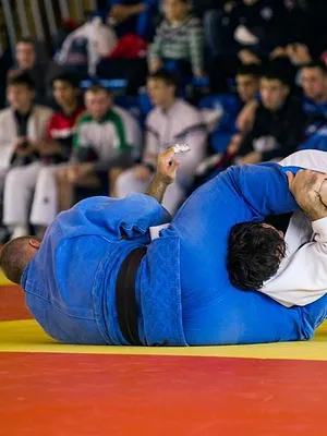 Judo : Grand Chelem à Budapest